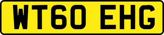 WT60EHG