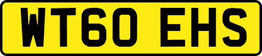 WT60EHS