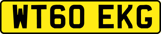 WT60EKG