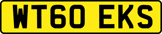 WT60EKS