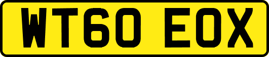 WT60EOX