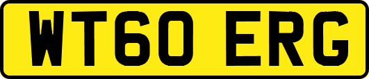 WT60ERG