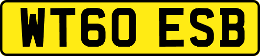 WT60ESB