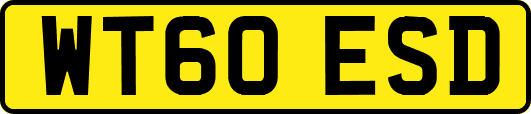 WT60ESD