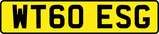 WT60ESG