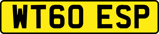 WT60ESP