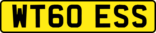 WT60ESS