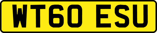 WT60ESU