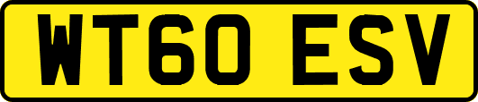 WT60ESV