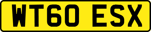 WT60ESX