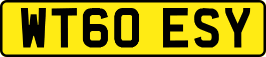 WT60ESY