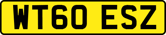WT60ESZ