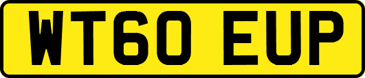 WT60EUP