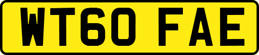 WT60FAE