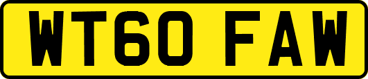WT60FAW