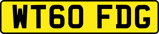 WT60FDG