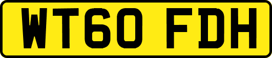 WT60FDH