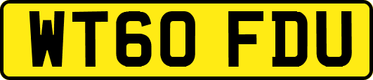 WT60FDU