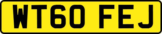 WT60FEJ