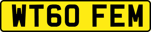 WT60FEM