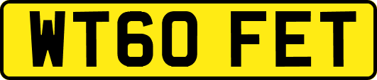 WT60FET
