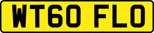 WT60FLO