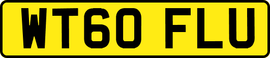 WT60FLU