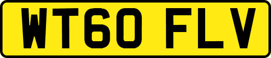 WT60FLV