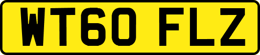 WT60FLZ
