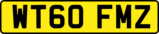 WT60FMZ