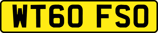WT60FSO