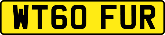 WT60FUR