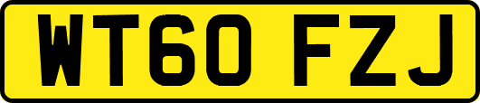 WT60FZJ