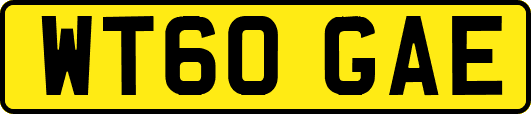 WT60GAE