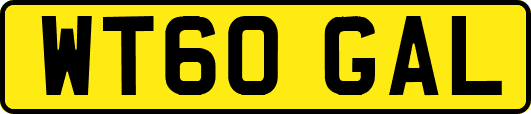 WT60GAL