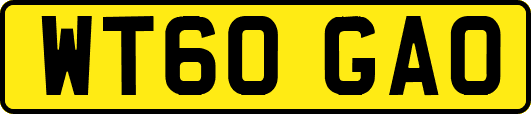 WT60GAO