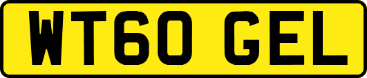WT60GEL
