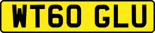 WT60GLU
