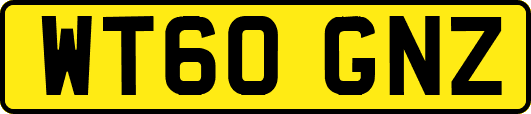 WT60GNZ