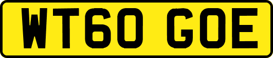 WT60GOE