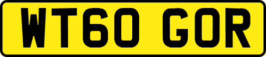 WT60GOR