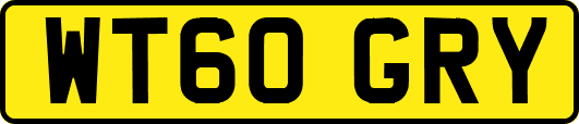 WT60GRY