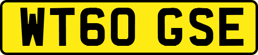 WT60GSE