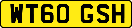 WT60GSH