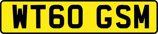 WT60GSM