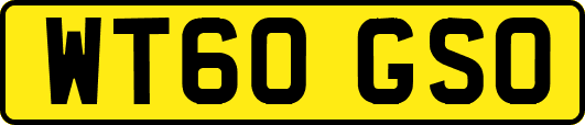 WT60GSO