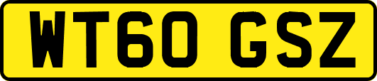 WT60GSZ
