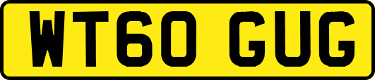 WT60GUG