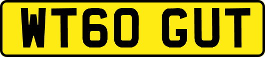 WT60GUT