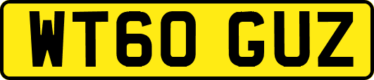 WT60GUZ
